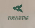 Футболка «Созвучие Кенозерья»