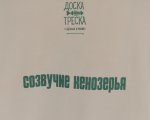 Футболка «Созвучие Кенозерья»