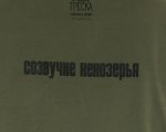 Футболка «Созвучие Кенозерья»